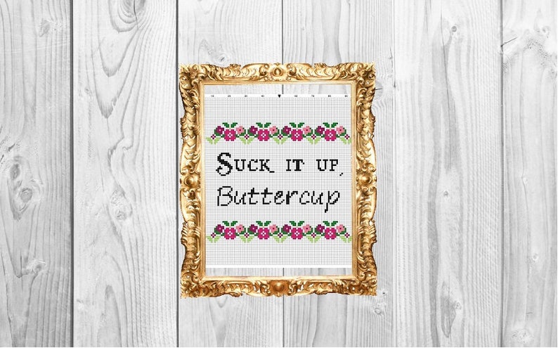 May include: A framed cross-stitch design with the text "Suck it up, Buttercup" in black lettering. The design features a border of pink and green flowers.