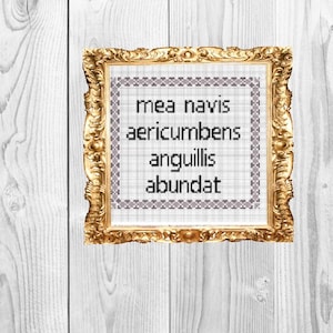 May include: A framed cross-stitch with the Latin phrase "mea navis aericumbens anguiilis abundat" in black text on a white background.