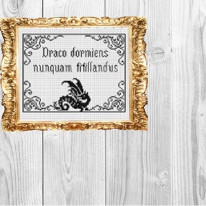 Never Tickle a Sleeping Dragon Latin Motto - Cross Stitch Pattern - Instant Download