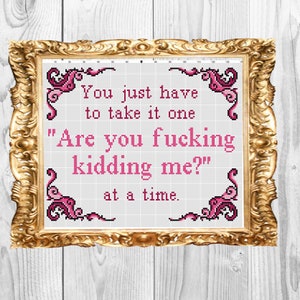 Are you f*cking kidding me?  -  Funny Modern Feminist Cross Stitch Pattern - Instant Download