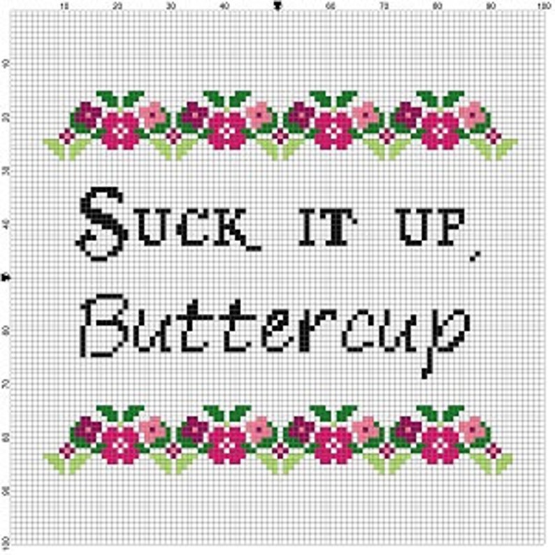 May include: Cross-stitch pattern with a floral border and the text "SUCK IT UP, Buttercup".