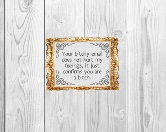 Your b*tchy email  - Cross Stitch Pattern - Instant Download