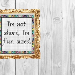 May include: A framed cross-stitch with a colourful border and the text "I'm not short, I'm fun sized."