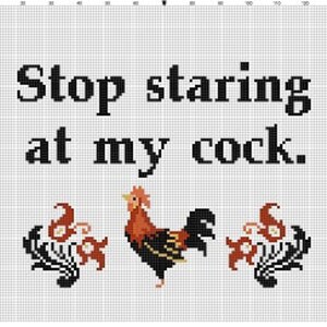 Stop staring at my cock Funny Subversive Snarky Cross Stitch Pattern Instant Download image 2