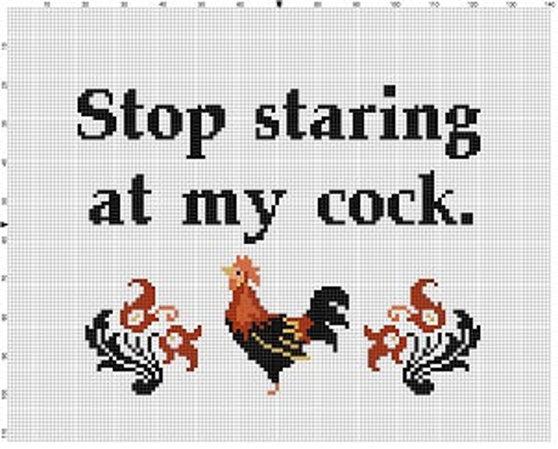 Stop staring at my cock Funny Subversive Snarky Cross Stitch Pattern Instant Download image 2