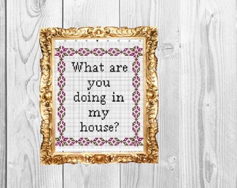 What are you doing on my house? - Cross Stitch Pattern - Instant Download