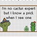 I'm No Cactus but I Know a Prick When I See One Cross - Etsy