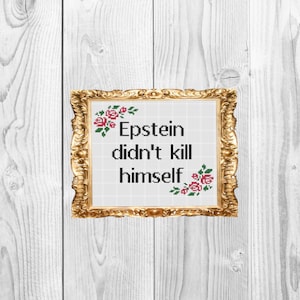 Epstein didn&#39;t kill himself - Funny Snarky Subversive Witty Cross Stitch Pattern - Instant Download