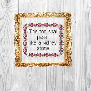 May include: A framed cross-stitch with a floral border and the text "This too shall pass... like a kidney stone."
