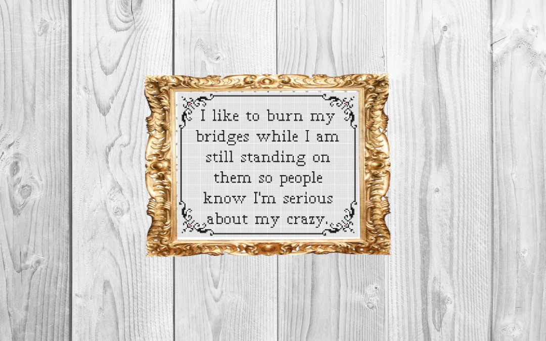 I Like to Burn My Bridges While I'm Still Standing on Them so People ...