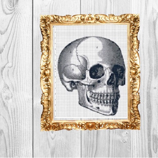 Anatomical Skull - Halloween Spooky Horror Scary Large Cross Stitch Pattern - Instant Download
