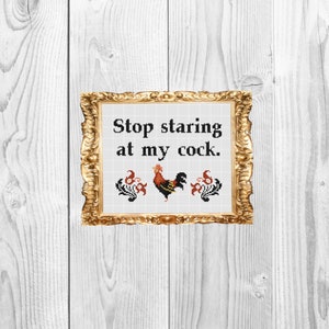 Stop staring at my cock Funny Subversive Snarky Cross Stitch Pattern Instant Download image 1