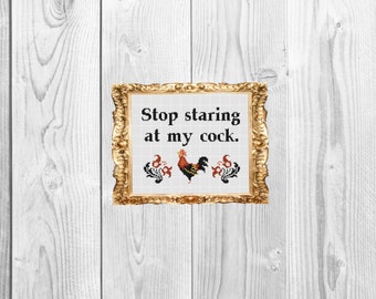 Stop staring at my cock - Funny Subversive Snarky Cross Stitch Pattern - Instant Download