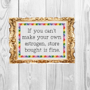 May include: A framed cross-stitch with a colourful border and the text "If you can't make your own estrogen, store bought is fine."