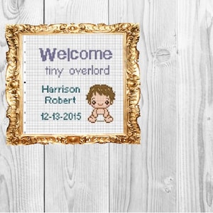 May include: A framed cross-stitch design with a cartoon baby, the text "Welcome tiny overlord", the names "Harrison Robert", and the date "12-13-2015".