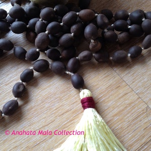 Lotus Samen Mala