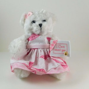 White Teddy Bear in Pink Ribbon dress, Gift for Breast Cancer Patient with cross-stitched message, Encouragement Gift for Her image 3