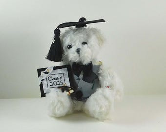 Graduation Boy Bear 2025: Plush Teddy with Diploma