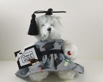 Graduation Bear 2025: Plush Teddy Bear with Diploma
