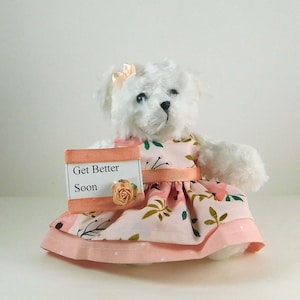 Get Well Soon Plush Bear Gift: Peach Floral Dress, Thinking of You