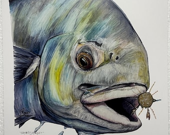 Permis Crabby