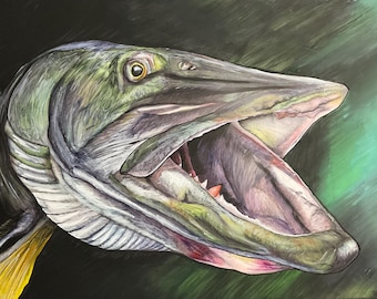 Darkness Esox musky