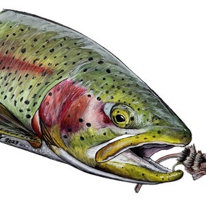 Whitlock Mouse Rainbow