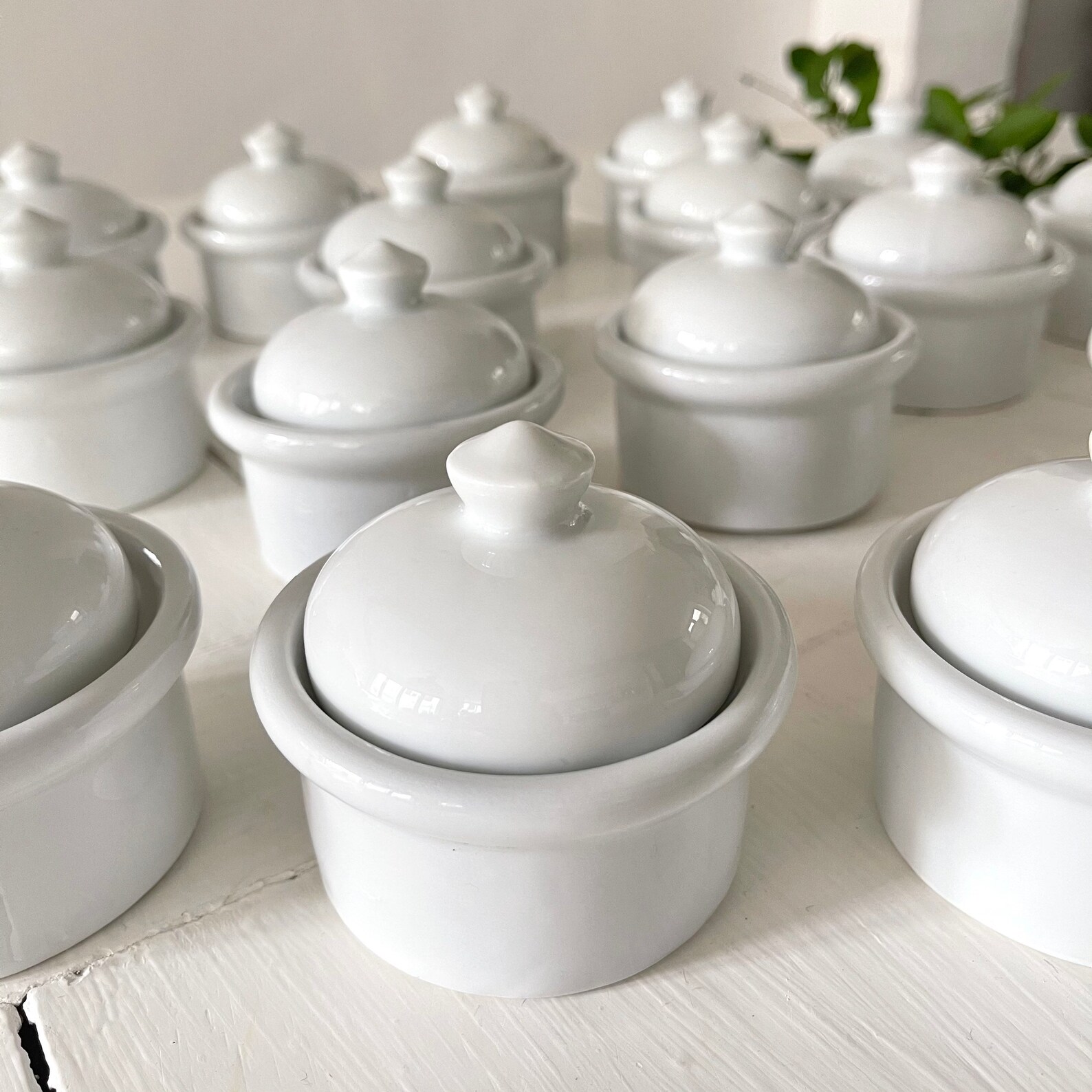 French Vintage Apilco Porcelain Pot au Foie Gras Terrine Etsy