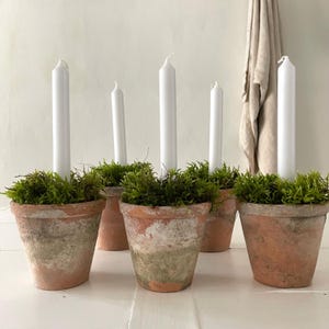 Set of 3 French Vintage Terracotta Plant Pots