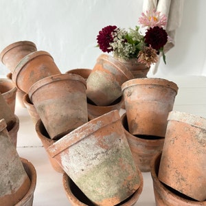 Trio French Vintage Terracotta Plant Pots