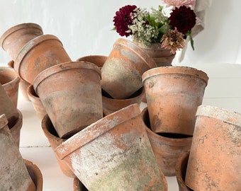 フランスアンティークテラコッタ製プランターポット/植木鉢/土器(90