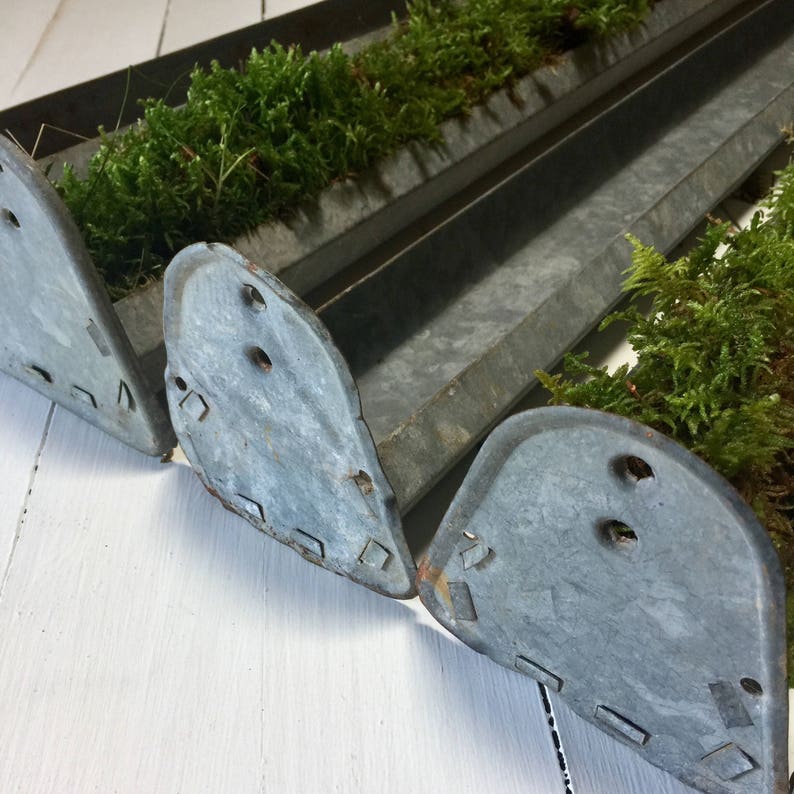 39 French Vintage Chicken Feeder Bulb Pot Seed Tray Etsy