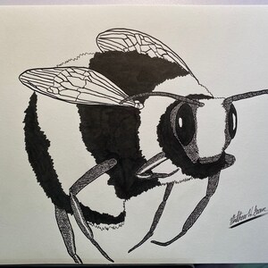 Honey Bee - 2018 - Ink on Paper - 9&quot;x12&quot; - Original Artwork