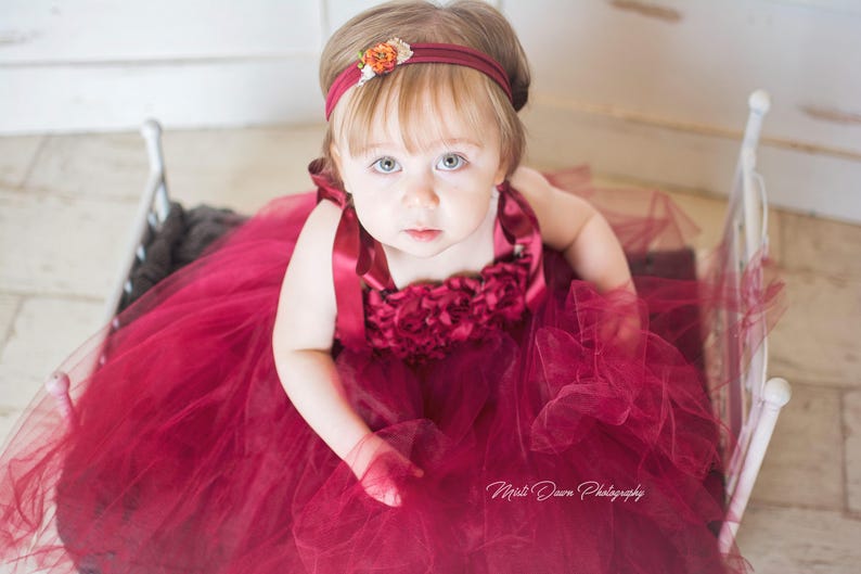 infant burgundy dress