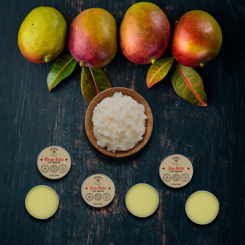 Mango Butter Lip Balm, Organic, Nourishing, and Hydrating, With Castor Oil and Jojoba Oil, 0.5 Oz Travel Size Tin