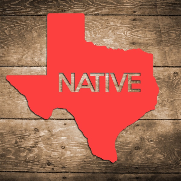 Texas Native Vinyl Sticker Car Window Door Bumper Decal Pride Home Pride TX