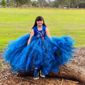 Sparkly Blue  black Tutu Dress –  Blue Power Princess Tutu –Sparkly Dress for halloween, birthday, photo shoot –Girl Character tutu outfits