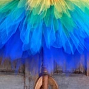 Adult Rainbow  tutu skirt -  Adult Birds Macaw Tutu skirt- Adult Layered Tutu skirt  - Macaw Bird Costume - Parrot Adult Skirt layered tutu