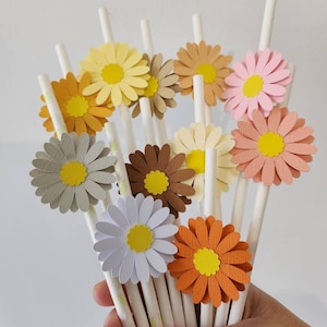 Bomboniera per feste in paglia a margherita da 12 pezzi - Topper in paglia a margherita - paglia di carta - decorazioni in paglia di carta - colore boho