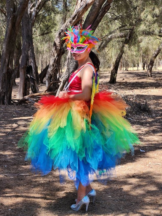 Rainbow tutu skirt adult 2025