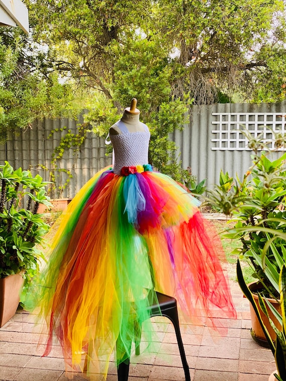 Rainbow High Low Fluffy Tutu Dress Rainbow Bustle Style Tutu Dress Extra Long Back Etsy UK