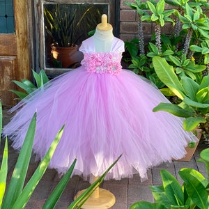 May include: A light pink tulle tutu dress with a white satin bodice and a flower embellishment. The dress is on a wooden dress form.