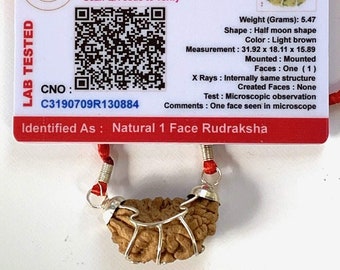 1 One Mukhi Rudraksha - Certified Authentic for Spiritual Healing & Enlightenment Powerful Ek Mukhi Rudraksha One face Rudraksh Kaju Daana