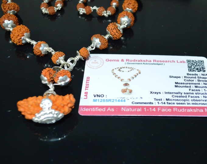 Certified 1 to 14 Mukhi Sidha Rudraksh mala Beads necklace - Sterling Silver - Genuine natural Rudraksha Hand knotted mala