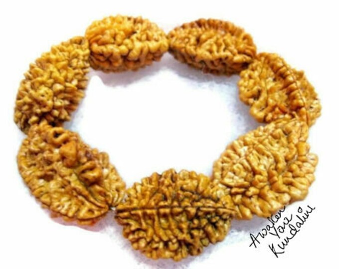 Genuine 2 Mukhi Rudraksha seed Mala Beaded Bracelet healing bracelet Two Face Rudraksh bead From Nepal Chakra Bracelet protection bracelet