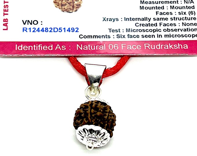 6 Mukhi Rudraksha Authentic 6 Six Face Rudraksh Nepal bead - Emotional balance Anxiety Stress Depression Relief Sacral Chakra Relationships