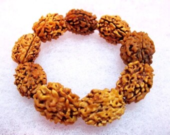 Genuine 3 mukhi rudraksha, 3 face rudraksha, 3 mukhi rudraksh, chakra bracelet, healing protection bracelet, Nepal Rudraksha, seed bracelet