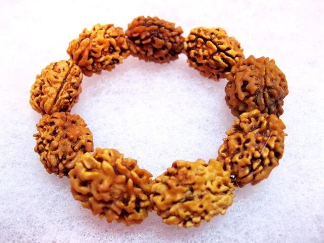 Amazon.com: Spiritual Rudraksha Bracelet with Tiger eye and genuine 3 Mukhi  Rudraksh bead. Solar plexus chakra jewelry. HANDMADE : Handmade Products