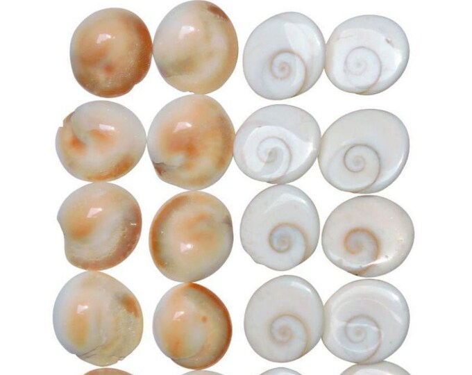 Energized and Blessed Gomti Chakra Natural Untreated Shell Lucky Gemstones Of Gomati River Lord Krishna Rare, Pack of 11, 21, 31, 51, 101