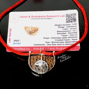 Unlock Your Inner Potential with the Divine Power of 1 One Mukhi Rudraksha Bead w/ Om - Certified and Authentic- One face Rudraksh Ek Mukhi